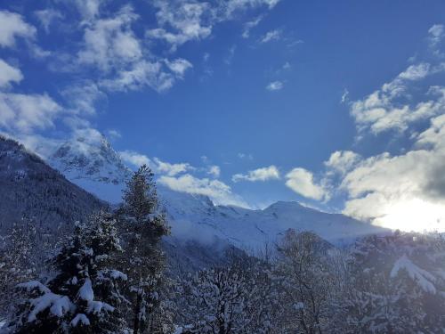 studio quartier calme centre ville vue mont Blanc