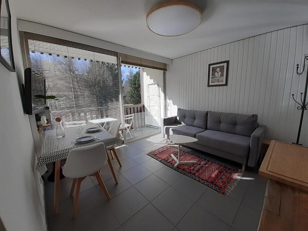 Appartement studio quartier calme centre ville vue mont Blanc RDC 567 Route Couttet Champion 74400 Chamonix-Mont-Blanc