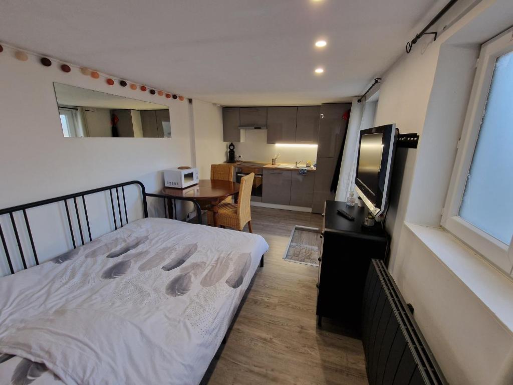 Appartement Studio quartier marais, terrasse rez de chaussée, jardin accessible, netflix 77 Avenue Arnaud de Vogue 18000 Bourges