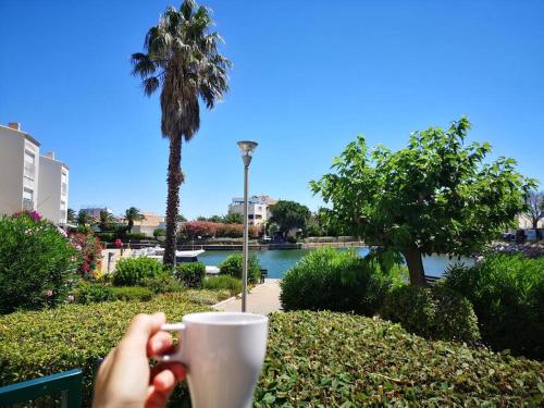 Studio rénové cosy avec terrasse au bord de la MARINA ST CYPRIEN
