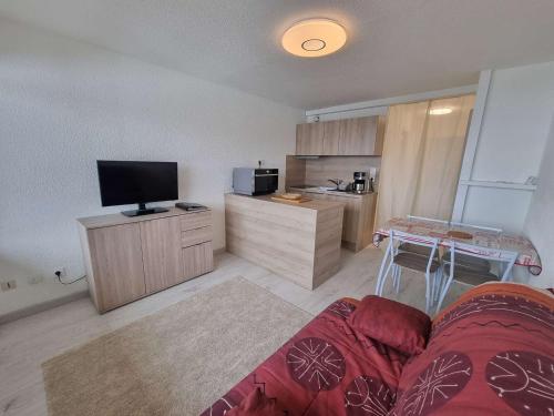 Studio Saint-Michel-de-Chaillol, 1 pièce, 4 personnes - FR-1-393-156