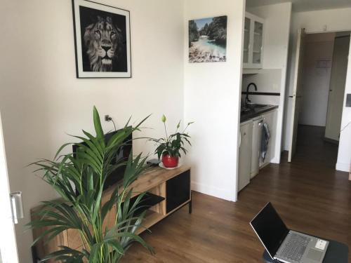 Studio Saint-Raphaël, 1 pièce, 4 personnes - FR-1-504-645