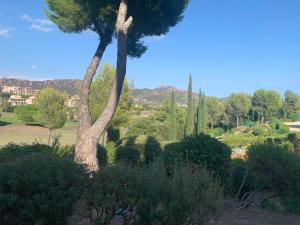 Studio Saint-Raphaël, 1 pièce, 4 personnes - FR-1-504-653