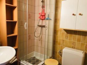 Studio Samoëns, 1 pièce, 2 personnes - FR-1-629-77