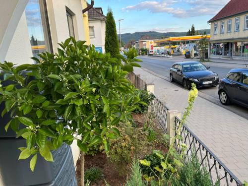 Studio Schillerplatz