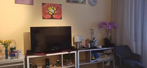 Studio Seaesta Konstanz