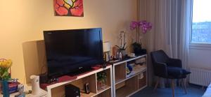 Studio Seaesta Konstanz