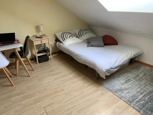 STUDIO SPACIEUX remis a neuf Sur Pistes