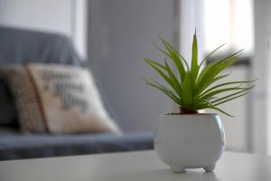 Studio terrasse Montpellier - Parking privé - Proche ligne 1