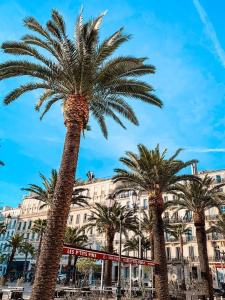Studio Toulon les Halles