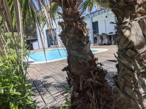 Studio tout équipé avec Terrasse Piscine chauffée et Jacuzzi