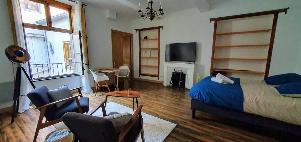 Appartement Studio très spacieux avec cour, en plein cœur de ville ! 14 Rue de l'Aigle d'Or 11000 Carcassonne