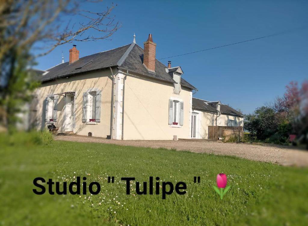 studio ''tulipe'' dans le Berry Les Plantes, 36100 Les Bordes