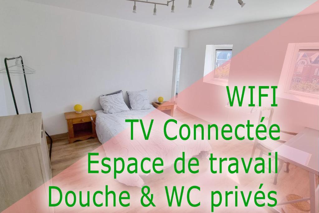 Appartement Studio - TV - WIFI - Salle De Bain privée 2 Rue d'Aulnoye 59440 Avesnes-sur-Helpe