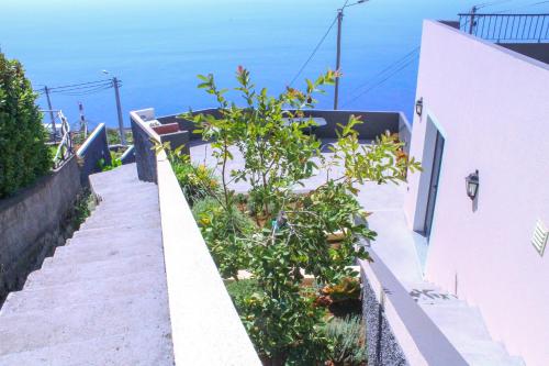 Studio Two | Massapez | Fajã da Ovelha | Calheta