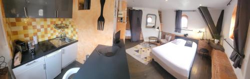 Studio typique toulousain Capitole