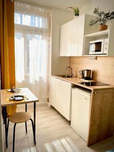 Appartement STUDIO VAISE 3 CENTRE à LYON 69009 43 Rue de Saint Cyr 69009 Lyon Rhône-Alpes