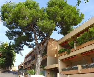 Appartement Studio Val Gardénias 44 Chemin de Saint Michel 83150 Bandol Provence-Alpes-Côte d\'Azur