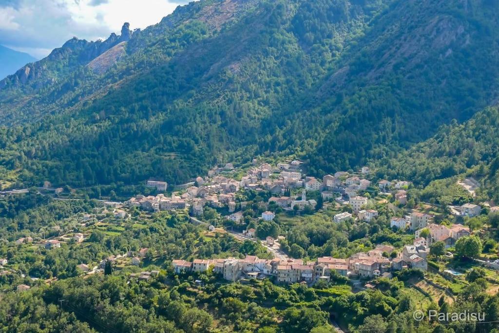 Studio Venaco Centre Corse Lieu dit le Padulo Campo Vecchio, 20231 Venaco