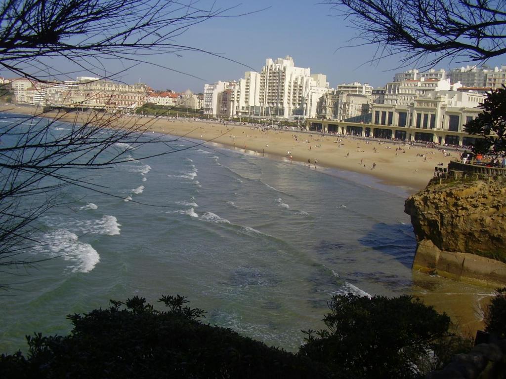 Appartement studio Victoria Surf Biarritz appartement  907 9e étage Résidence Victoria Surf 21 ter avenue Edouard VII 64200 Biarritz