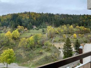 Studio Villard-de-Lans, 1 pièce, 4 personnes - FR-1-515-149
