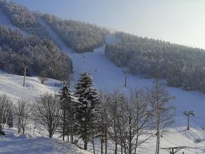 Appartement Studio Villard-de-Lans, 1 pièce, 4 personnes - FR-1-515-69 Immeuble LES AROLLES Le Balcon de Villard 38250 Villard-de-Lans Rhône-Alpes