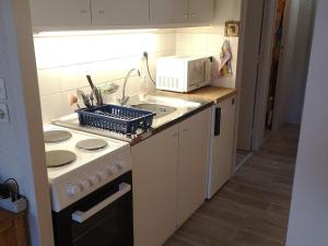 Studio Villard-de-Lans, 1 pièce, 4 personnes - FR-1-689-49