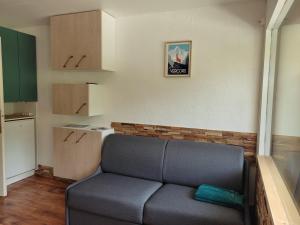 Studio Villard-de-Lans, 1 pièce, 4 personnes - FR-1-689-52