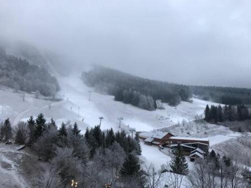 Studio Villard-de-Lans, 1 pièce, 4 personnes - FR-1-689-60