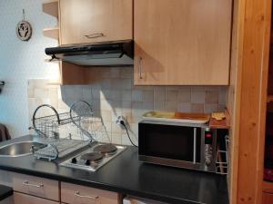 Studio Villard-de-Lans, 1 pièce, 4 personnes - FR-1-689-75