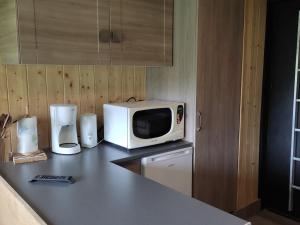 Studio Villard-de-Lans, 1 pièce, 4 personnes - FR-1-689-88