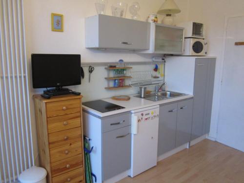 Studio Villard-de-Lans, 1 pièce, 4 personnes - FR-1-689-91