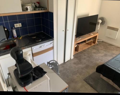 Appartement Studio Villejuif 18m2 3 parvis du professeur Georges 94800 Villejuif Île-de-France