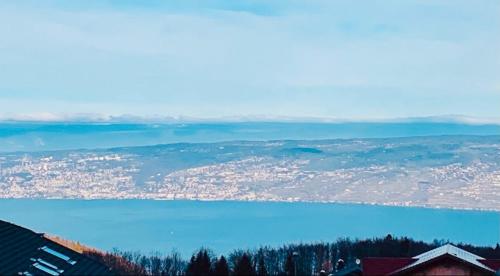 Studio vue lac leman