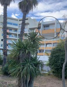 Appartement Studio vue mer 151 Rue de la Tramontane 34280 Carnon-Plage Languedoc-Roussillon