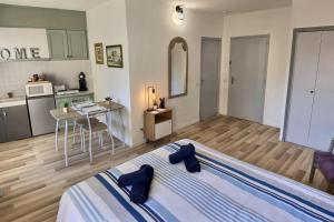 Studio vue sur les toits, lumineux Moustiers #2