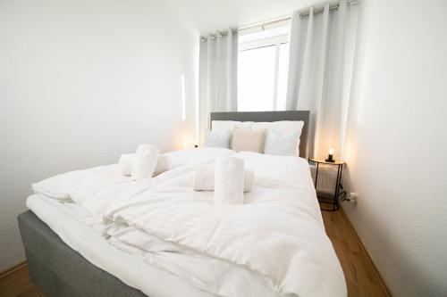 Studio WHITE - Central - Balcony - Fair - Kitchen