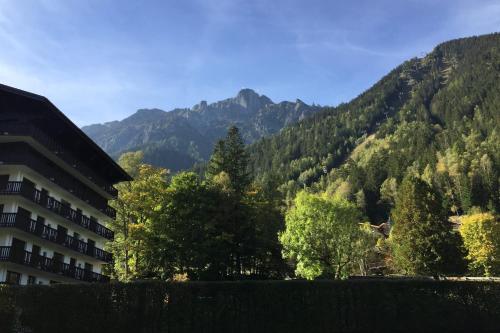 Studio With Balcony In Chamonix