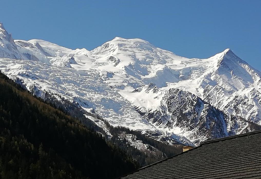 Appartement Studio with balcony, Mt Blanc view, parking, center of Chamonix 33 Place Edmond Desailloud - Balme- 74400 Chamonix-Mont-Blanc