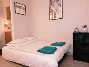 Studio with balcony, Mt Blanc view, parking, center of Chamonix