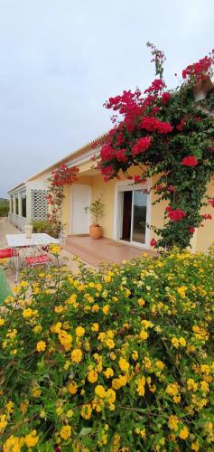 Studio with enclosed garden and wifi at Sagres