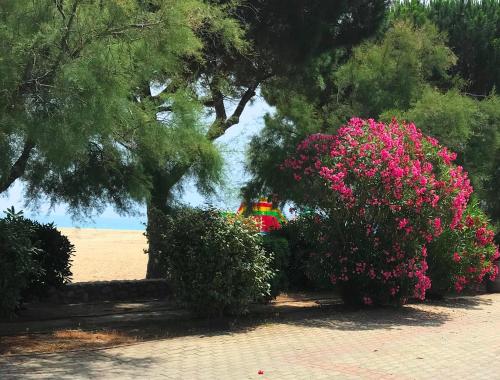 STUDIOS FRONT de MER - RES LE BYBLOS