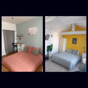 Appartement studios nature et jungle 66 Grande Rue 03800 Gannat Auvergne