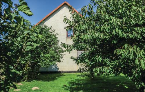 Stunning apartment in Rankwitz with 1 Bedrooms and WiFi