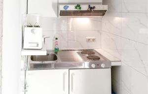 Appartement Stunning apartment in Trent-Rgen with 1 Bedrooms and WiFi  18569 Tribkevitz Mecklembourg-Poméranie