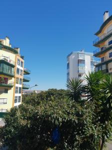 Stunning Newly Refurbished flat in Cascais