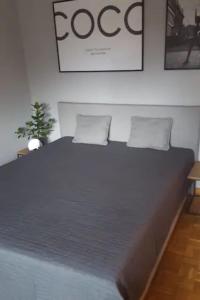 Stylisch-gemütliche 70qm im zentralen D-Derendorf