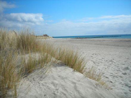 Südstrandflair 5 Strandhaferweg Wohnung 65-111  Name Vogel Jens und Daniela, 23769 Fehmarn