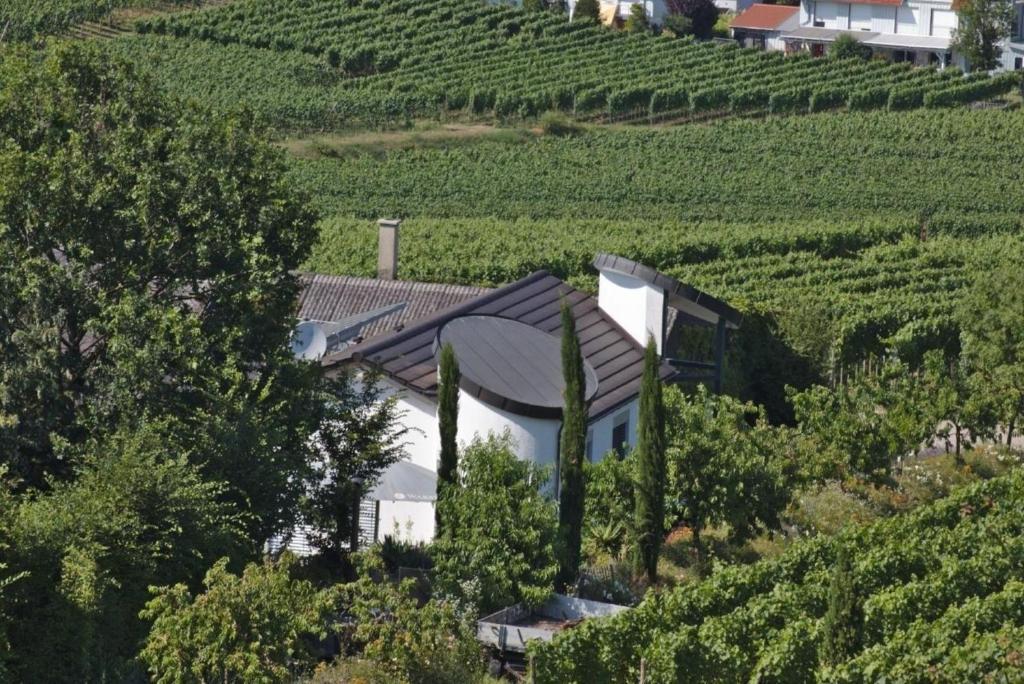 Suite Arminius Mountain View Eichert 3, 79361 Sasbach am Kaiserstuhl