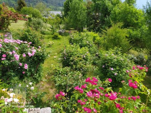 Suite au pied de la montagne et vue imprenable
